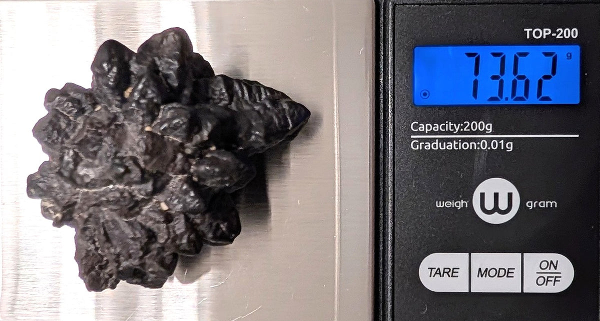 Moroccan "Prophecy Stone" (73.62g)